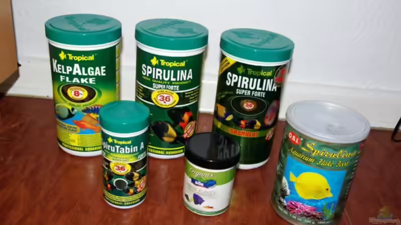 Futterdosen von Jens Beier (7)