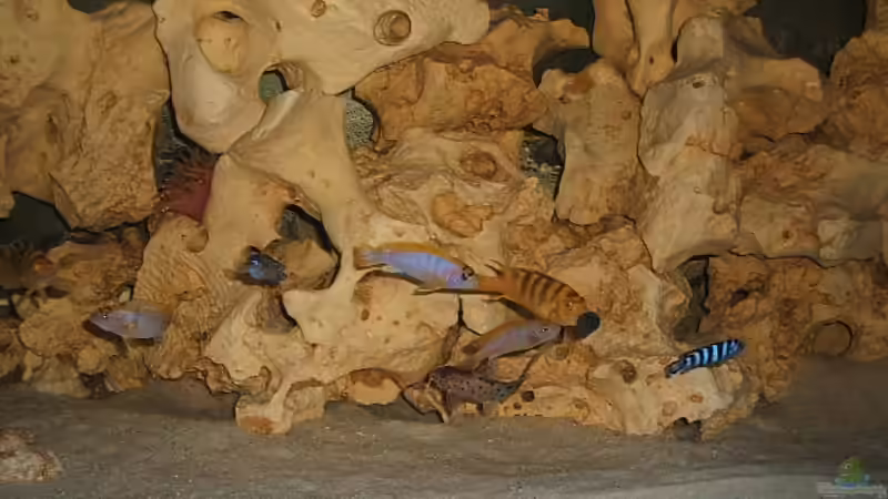 Futtern von Bruno Dewald (12)