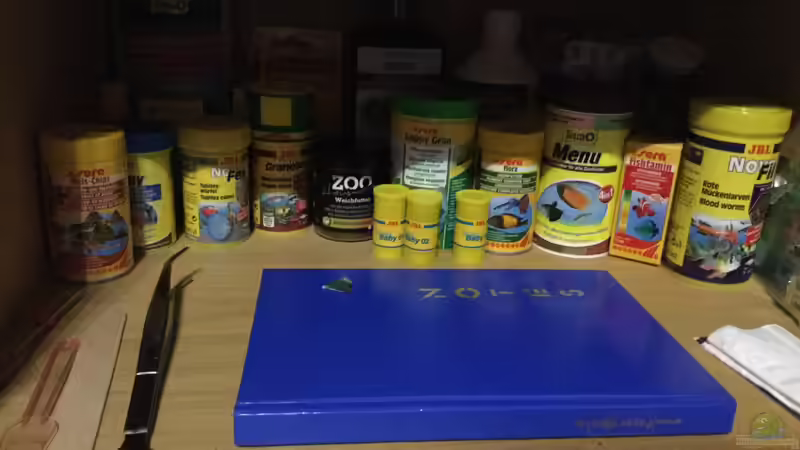Futterplan für ein Gesellschaftsaquarium - Wie du alle Bewohner gesund und zufrieden hältst