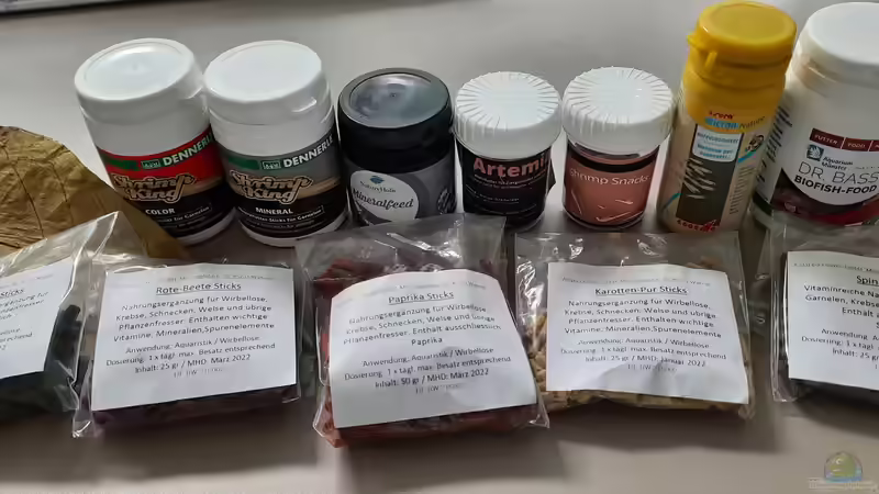 Futterplan für ein Gesellschaftsaquarium - Wie du alle Bewohner gesund und zufrieden hältst