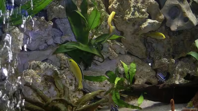 Futterplatz von Michael Krauss (2)