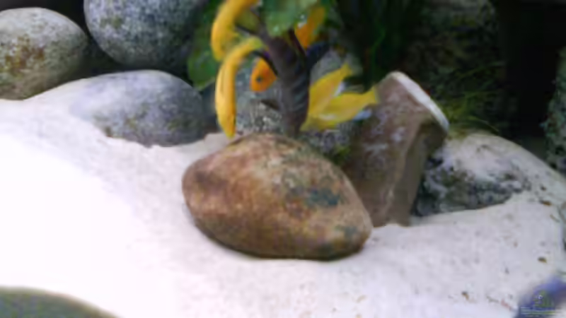 futterstein:D von LaEy (63)