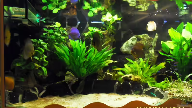 Futterstelle mit feinen Sand von Ulrich Sauerhering (97)