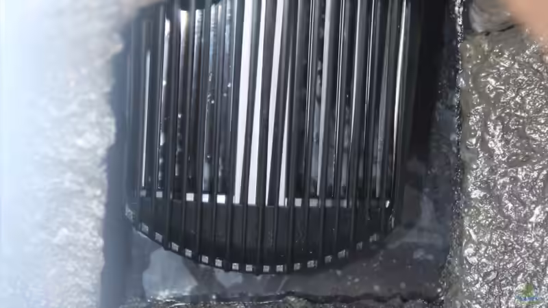 FX 6 Ansaugkorb von Cruiser Bruno (66)