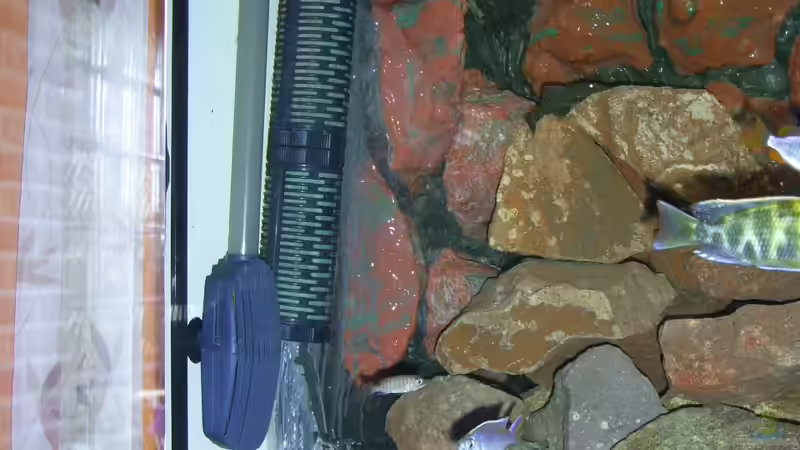 Fx5 Ansaugrohr,Resun SP innenfilter,Wave- Maker Doppelpropeller Strömungspumpe von Frank Hopp (29)