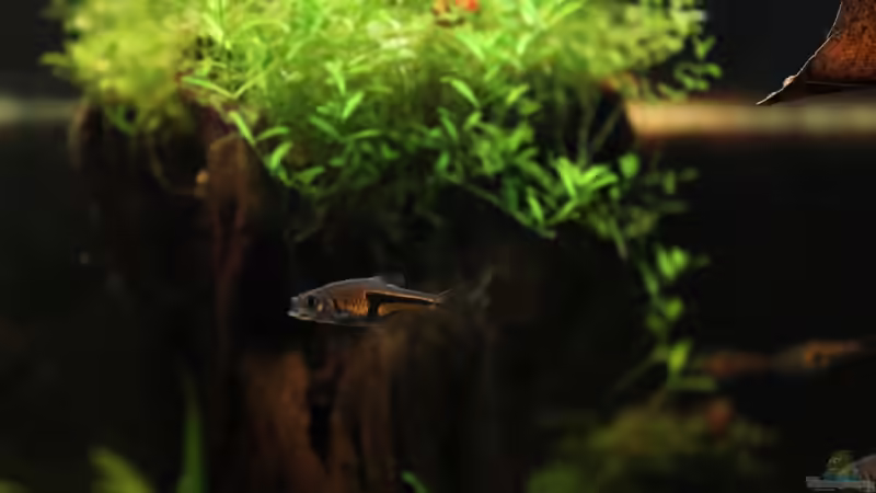 *gähn* :-) von Annika (60)