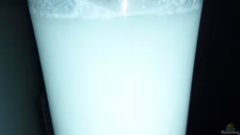 Gärbehälter der Bio-Co2 Anlage von xxxFabixxx (8)