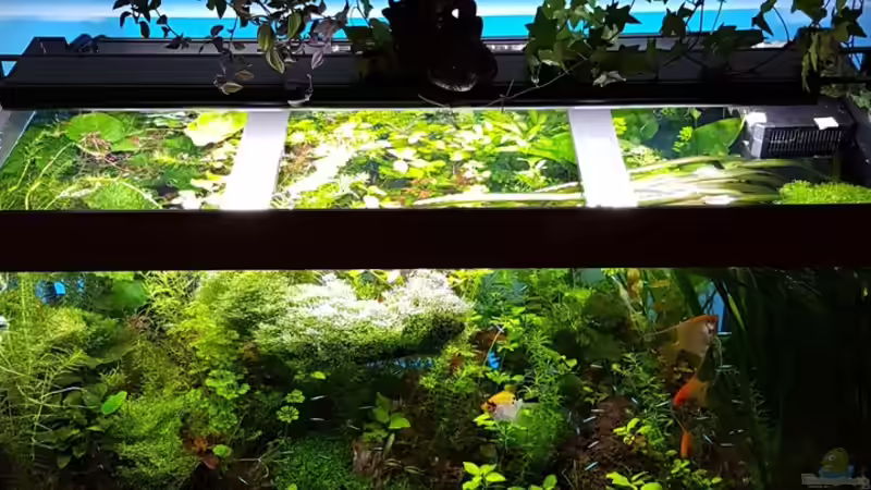 Gaja am 10.04.2016 von Sebastian Hartmann (54)