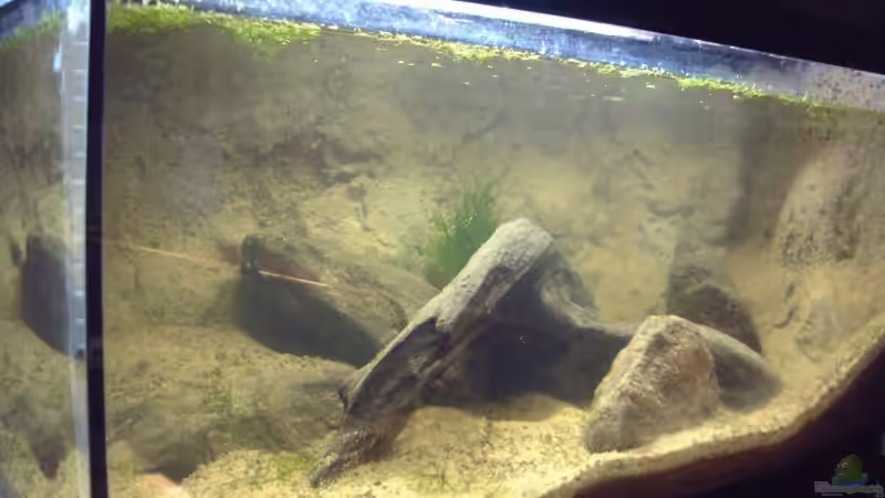 ganz am Anfang... von Sebastian H.2 (3)