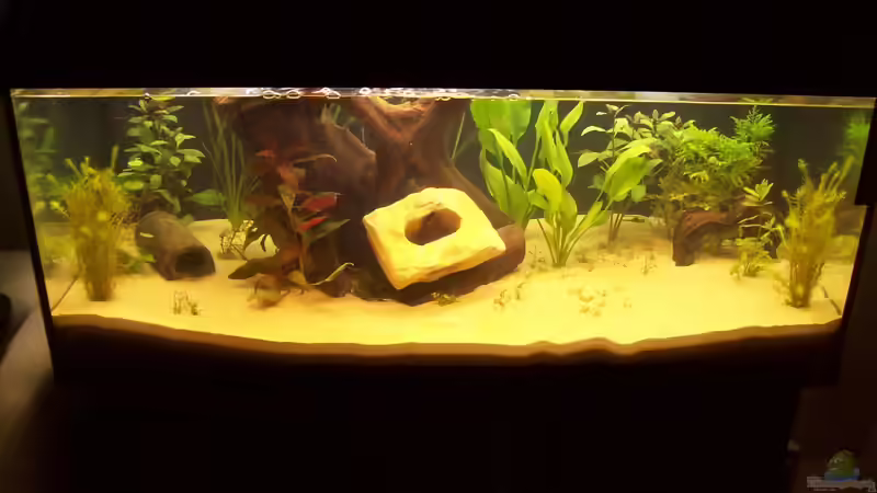 Ganz am Anfang Oktober 2012 von Lotte und Hendo (2)