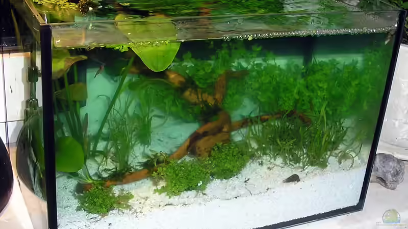 ganz am Anfang von mariajudyta (2)