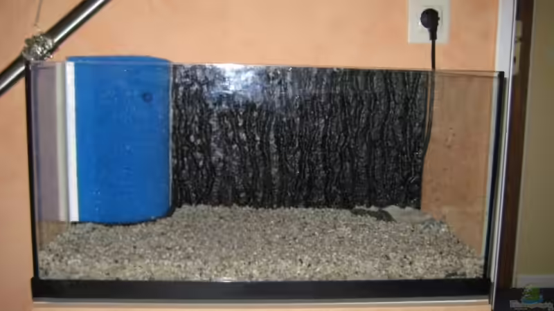 Ganz am Anfang von Robert Hajok (2)