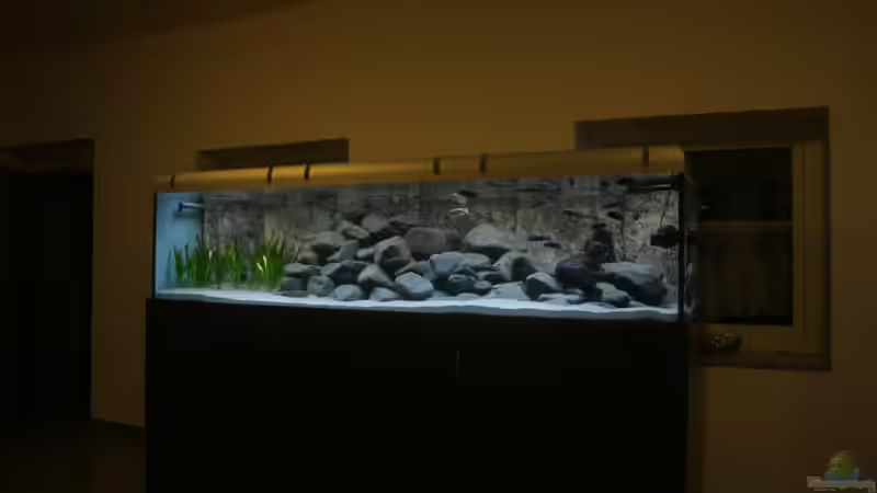 ganz ansicht von Zerta (7)