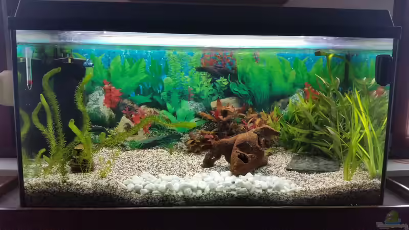 ganz beu am 12.05.2016 von SvenDerGroße (2)