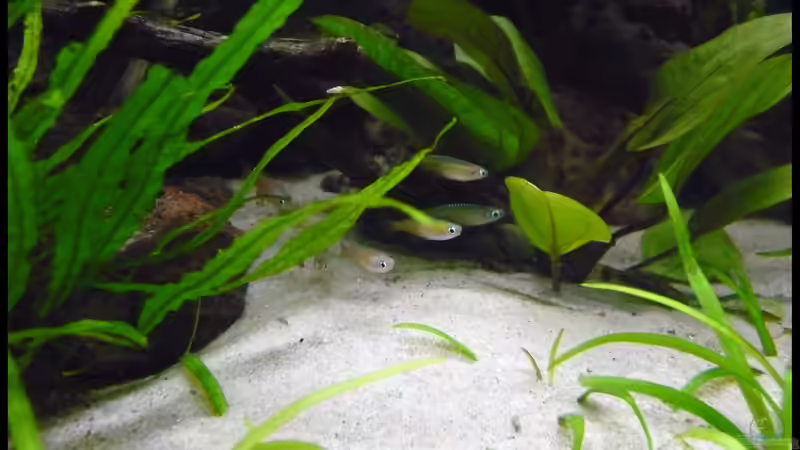 Ganz frisch nach dem Einzug von DerImperator (35)