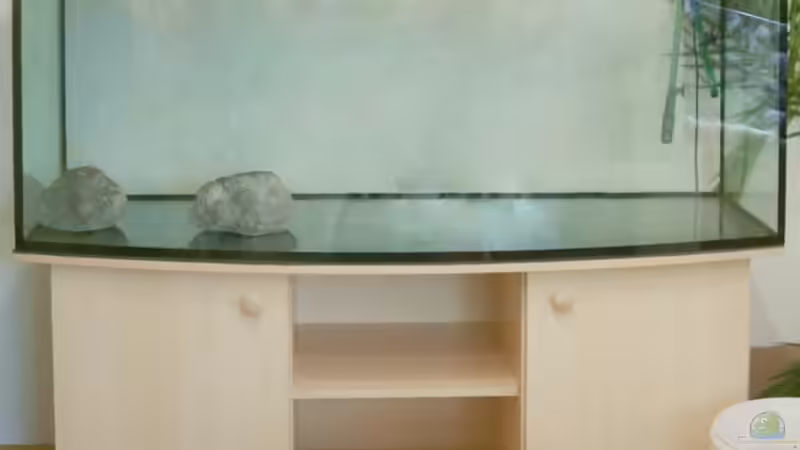 Ganz neu mit Eigenbausteinen am 29.10.08 von Nina Hutter (2)