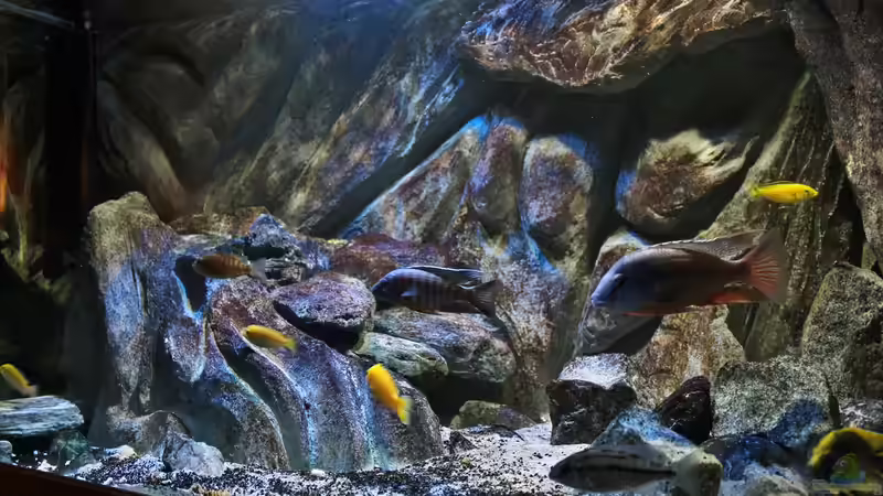 ganz neu vom 22.11.2014 von Marco O. (2)