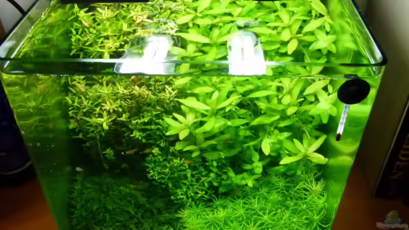 Ganz von oben ;-) von Helmut Kreutmayer (5)