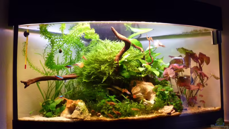 Ganzansicht von tanja4 (2)