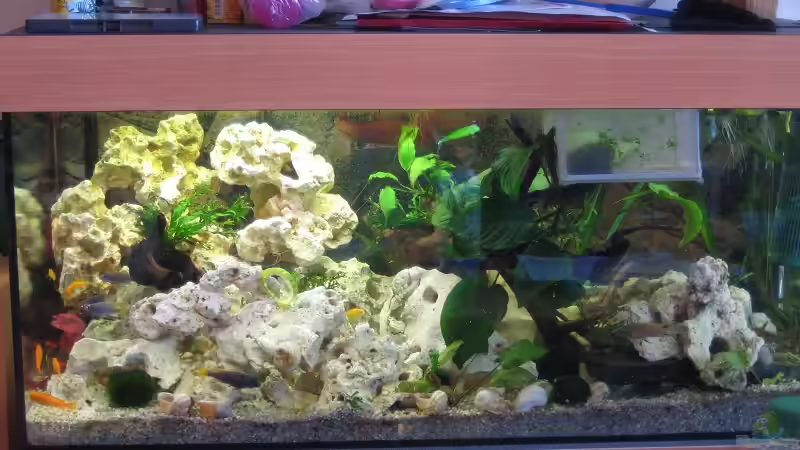 Ganze ansicht mit normaler Tageslichtbeleuchtung ohne Blitz fotografiert von Sky1706 (3)