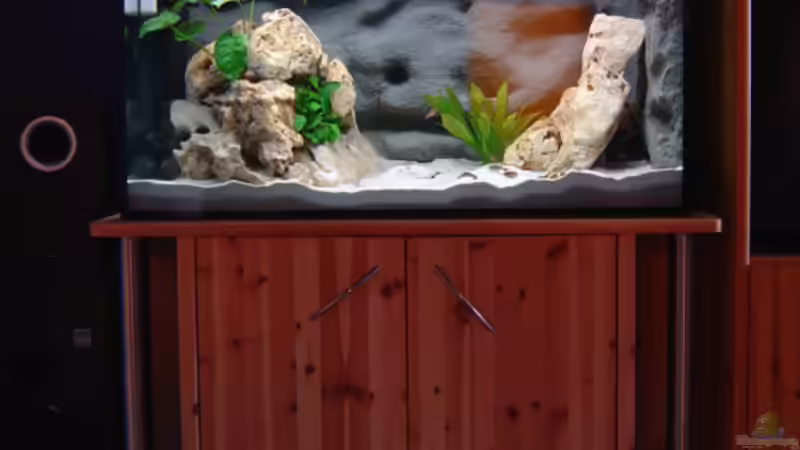 ganzes Becken mit Unterschrank von Jan Scherrle (2)