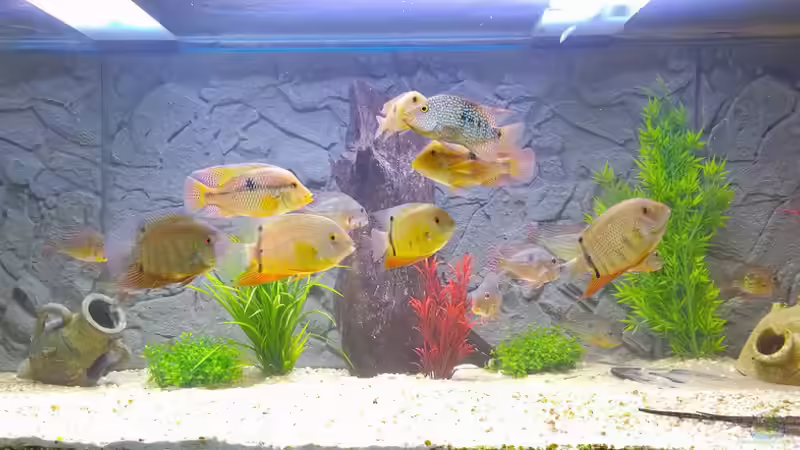 ganzes Becken von vorne von Bjoern Buenger (3)