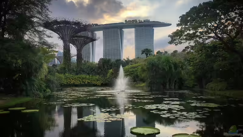 Gardens by the Bay - Singapur für Garten- und Naturliebhaber