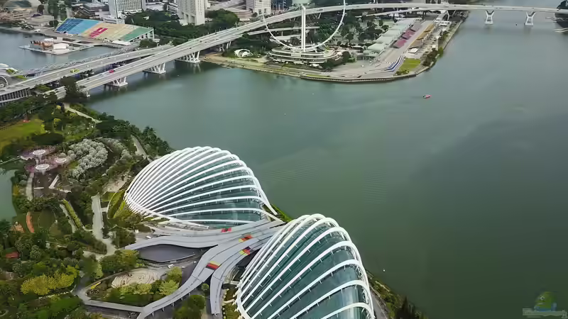 Gardens by the Bay - Singapur für Garten- und Naturliebhaber