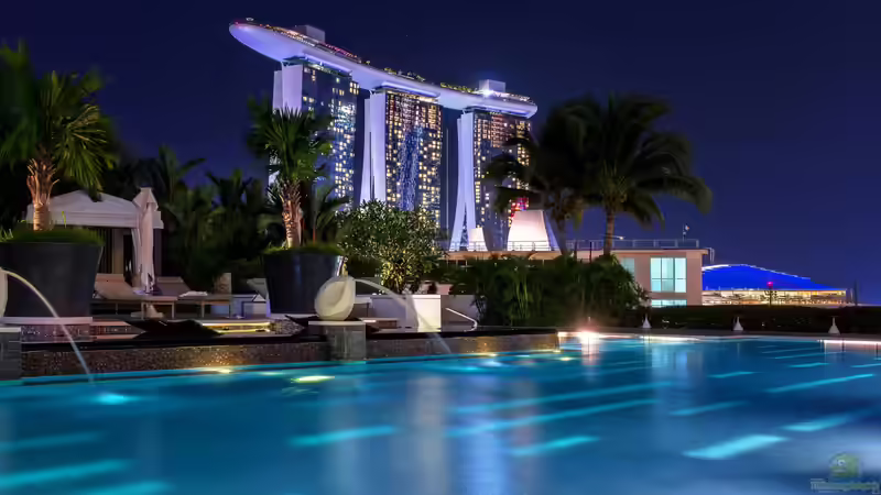 Gardens by the Bay - Singapur für Garten- und Naturliebhaber