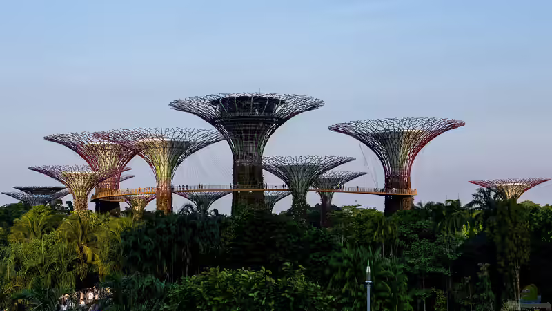 Gardens by the Bay - Singapur für Garten- und Naturliebhaber