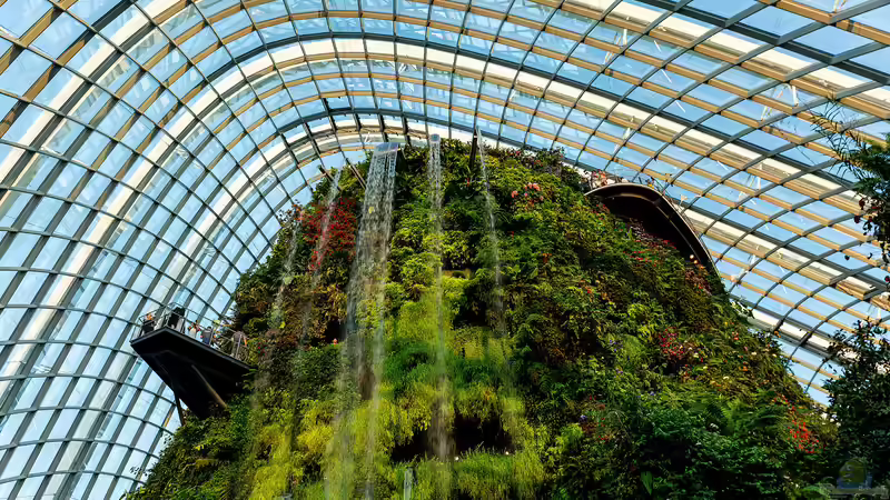 Gardens by the Bay - Singapur für Garten- und Naturliebhaber