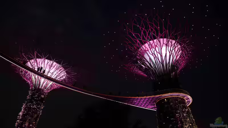 Gardens by the Bay - Singapur für Garten- und Naturliebhaber