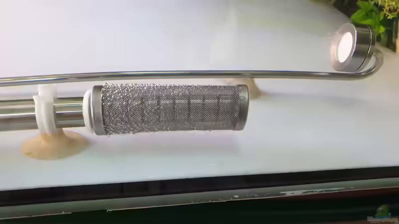 Garnelen sicher von Tobi2013 (56)