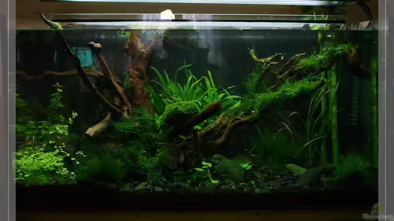 Gartenarbeiten 14.04.12 von Pseudomugil (5)