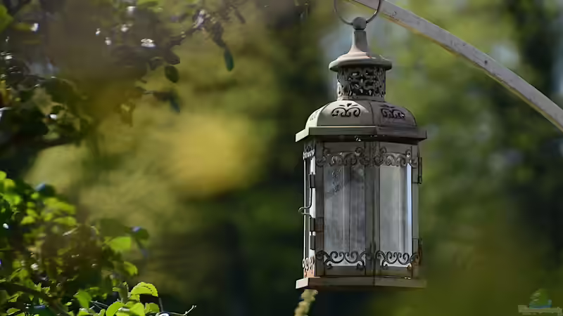 Gartenbeleuchtung: Sicherheit oder Lichtverschmutzung?