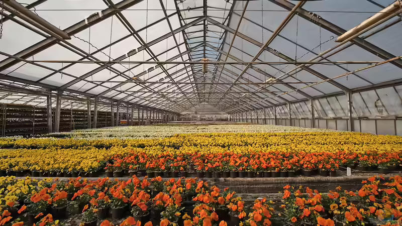 Gartencenter oder Baumschule? Der große Vergleich für Gartenfreunde