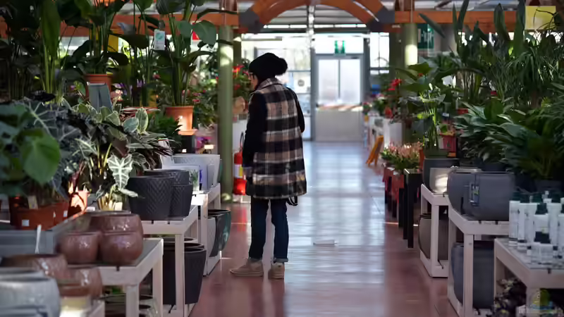 Gartencenter oder Baumschule? Der große Vergleich für Gartenfreunde