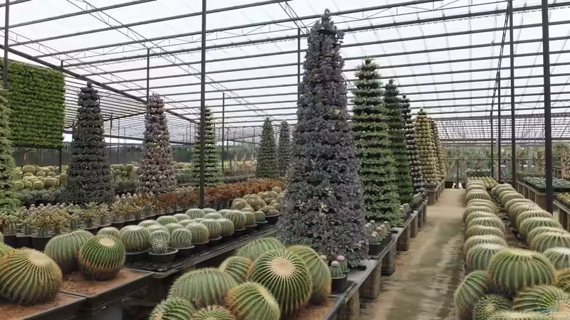 Gartencenter oder Baumschule? Der große Vergleich für Gartenfreunde