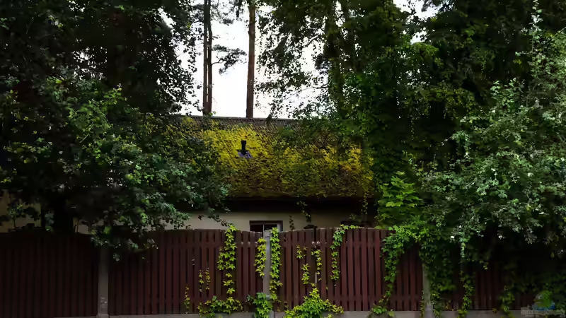 Gartengestaltung mit Sichtschutz: Praktische Tipps für mehr Privatsphäre auf kleinen und großen Grundstücken