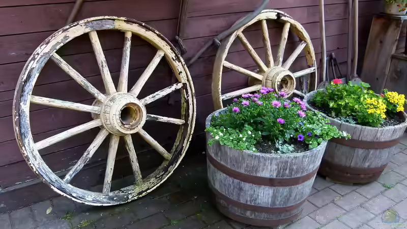 Gartenpflanzen im Winterquartier: Wichtige Pflegemaßnahmen