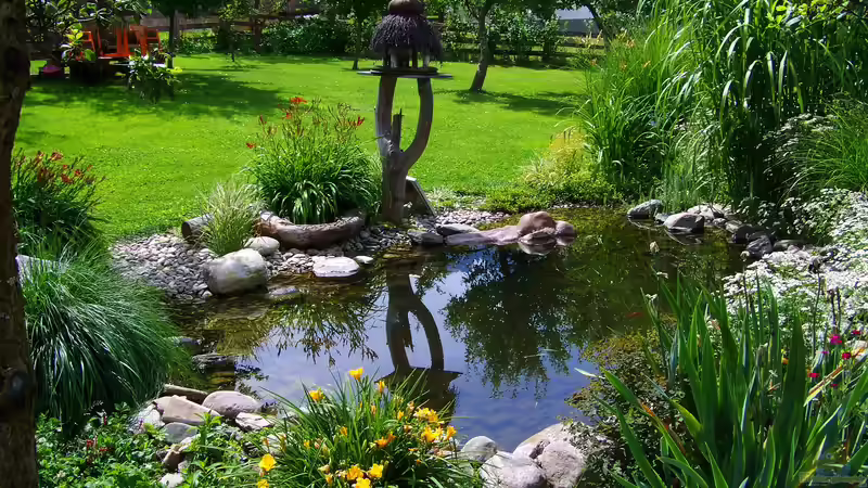 Gartenteich anlegen: Mit diesen Kosten ist zu rechnen