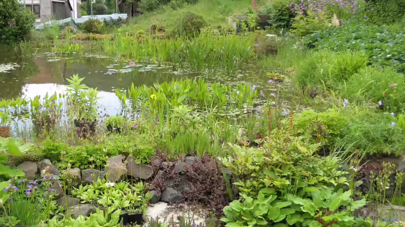 Gartenteich ohne Technik