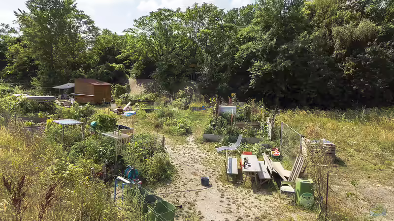 Gartentrends 2024: Ein Blick in die Zukunft des Garten-Designs