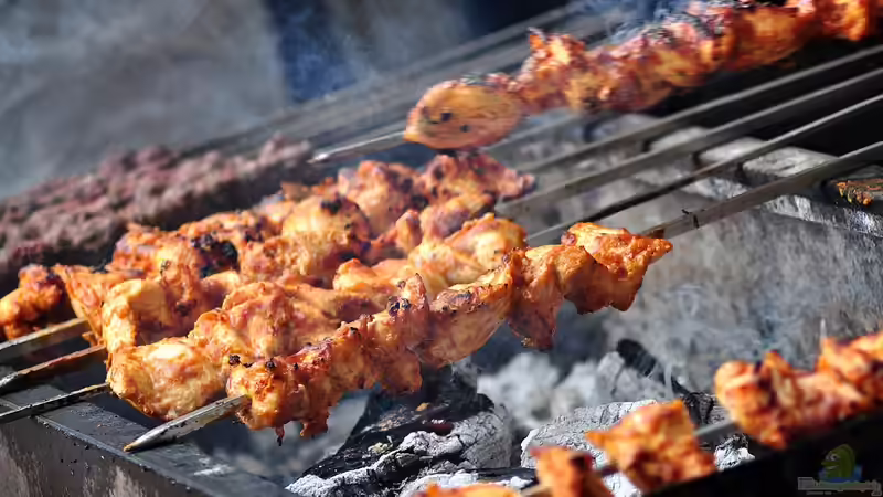 Gas- oder Holzkohlegrill: Was sind die aktuellen Trends?