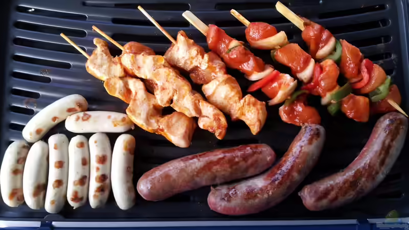 Gas- oder Holzkohlegrill: Was sind die aktuellen Trends?