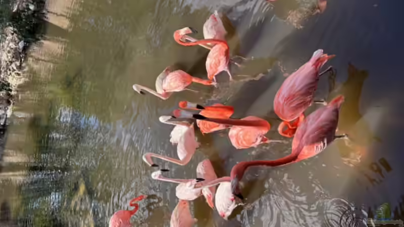 Gatorland in Florida – Ein Paradies für Reptilienfans