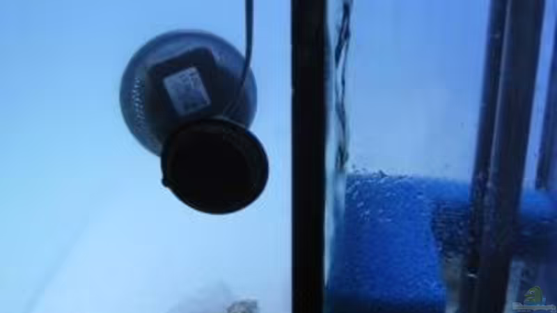 geänderter Zu.-und Ablauf von Harald (25)