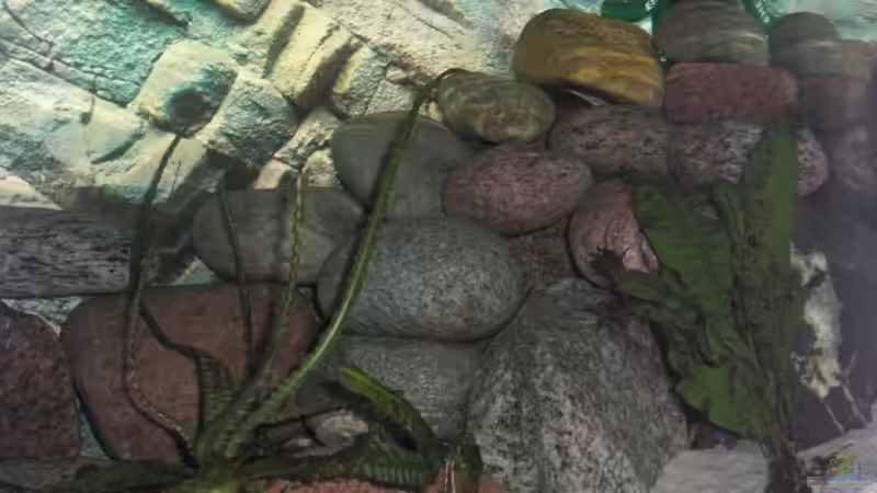 Gebirge rechts am morgen von Malawi TOM (31)