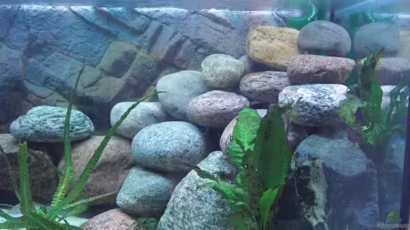 Gebirge rechts am Tag von Malawi TOM (32)