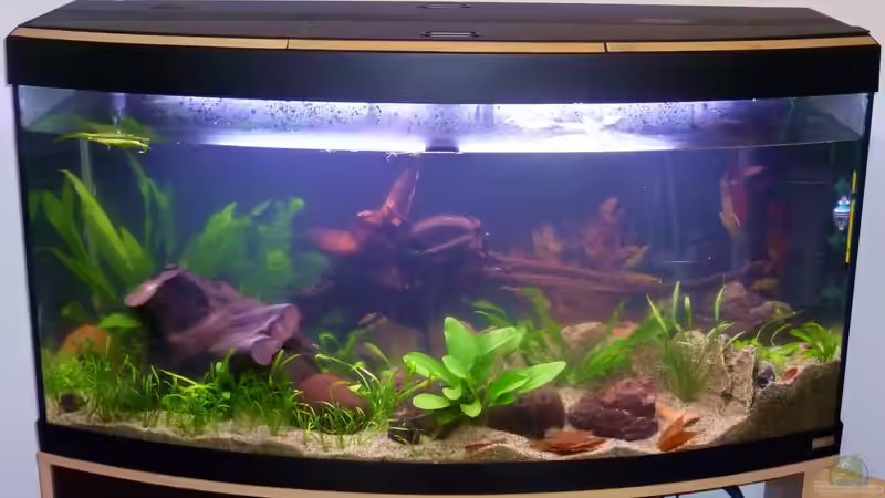 gebogene Scheibe - November 2012 von Deino (8)